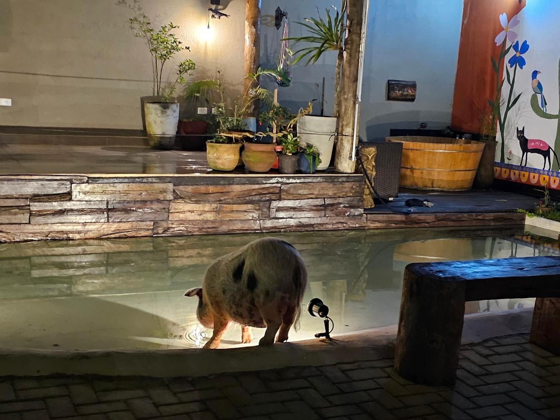 Albergue Jai Juquehy *